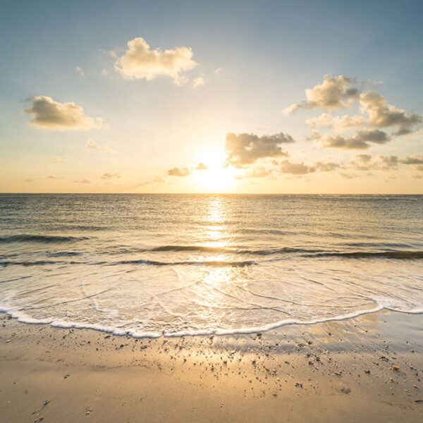 Tide Chart For Folly Beach, SC Folly Beach