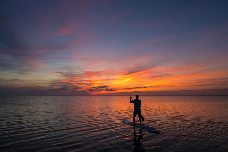 Folly Beach Stand Up Paddleboard Tours