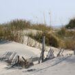 Sand Dunes Folly Beach