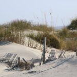 Sand Dunes Folly Beach