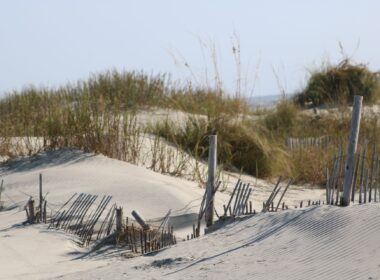 Sand Dunes Folly Beach