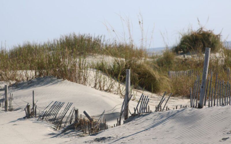 Sand Dunes Folly Beach