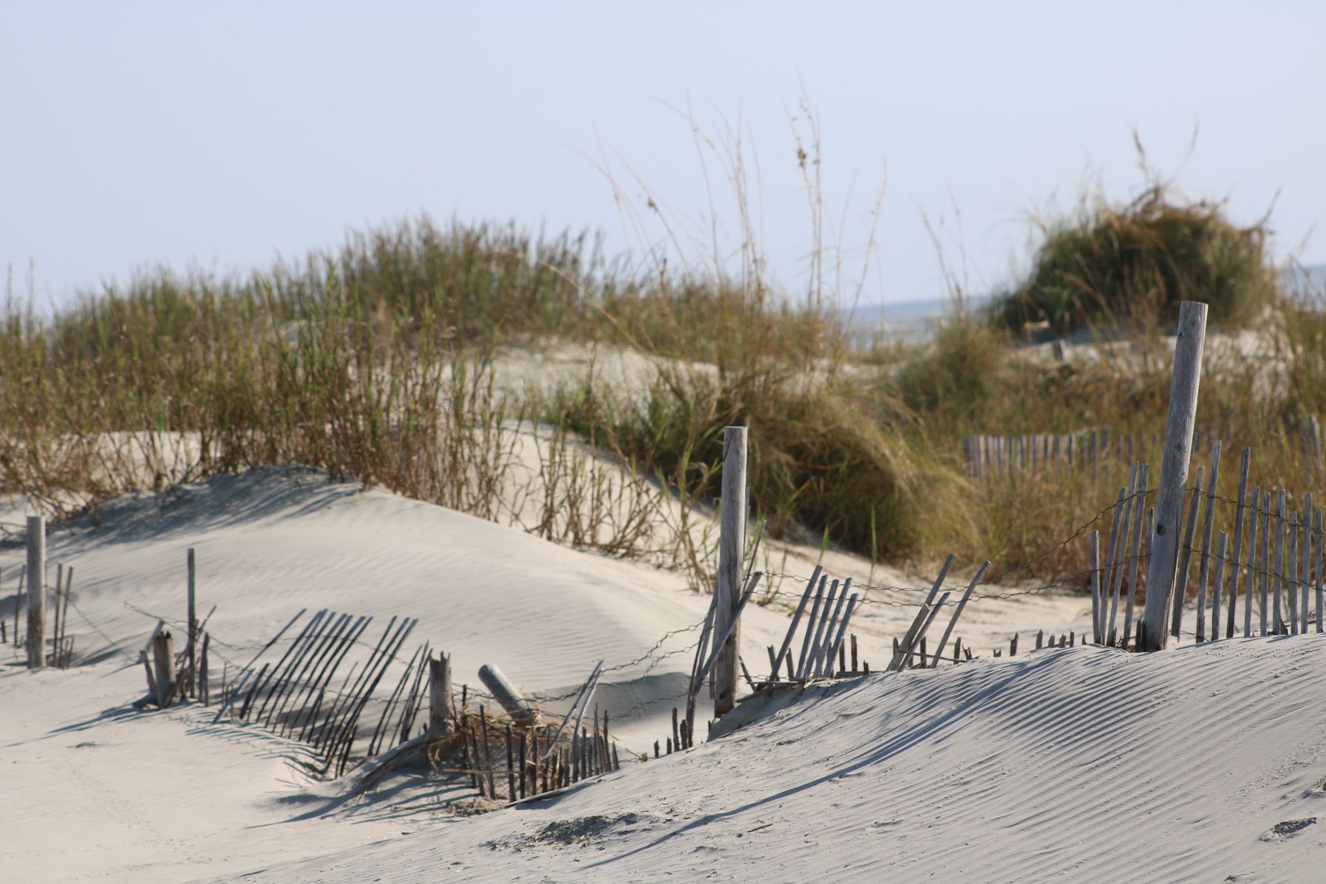 Sand Dunes Folly Beach