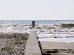 folly beach groins