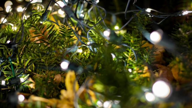 Christmas Tree